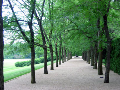 Miller Garden