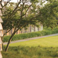 Hamptons