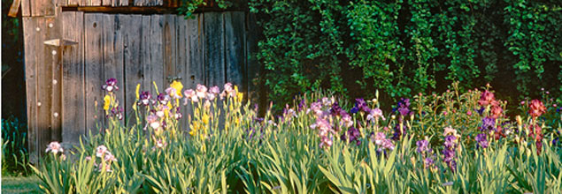 Margaret Thomas Garden