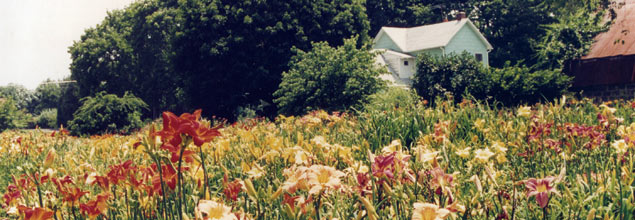 Margaret Thomas Garden