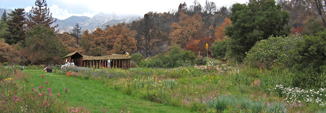 Santa Barbara Botanic Garden