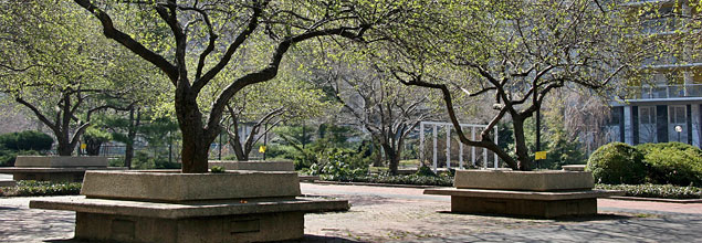 Washington Square Village
