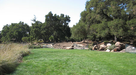 Santa Barbara Botanic Garden, CA 