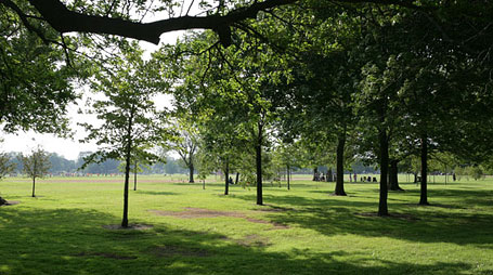 Washington Park, Chicago, IL