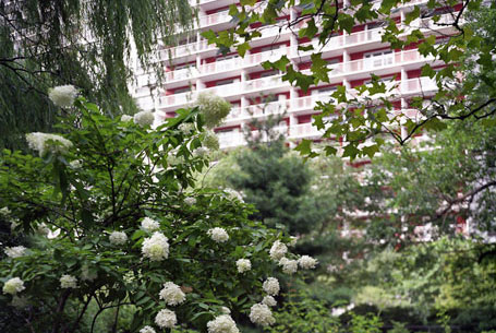 Washington Square Village