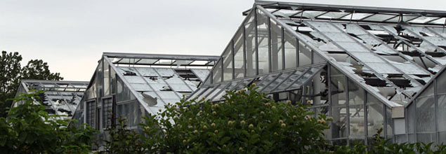 propagation greenhouses