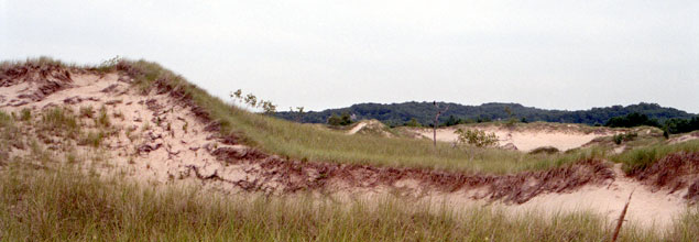 Saugatuck Dunes