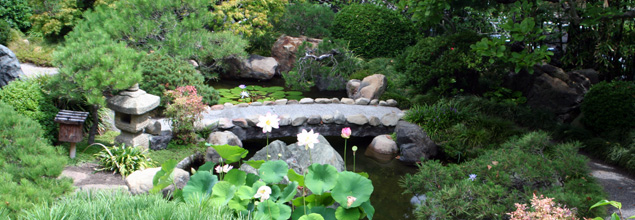Hannah Carter Japanese Garden