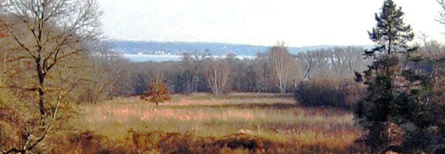 The Jay Estate, meadow looking to water