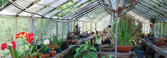 Green House at Palm Cottage Gardens
