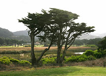 Sharp Park Golf Course, Pacifica, CA