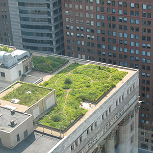 Chicago City Hall Green Roof 