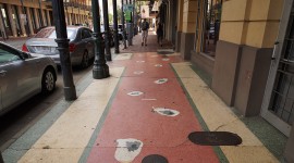Terrazzo sidewalk paving depicting oysters in front of an oyster bar, New Orleans