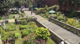 The lush, well-maintained community space is hardly "injurious to the public welfare"