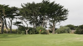 9th Green, Sharp Park Golf Course, Pacifica, CA