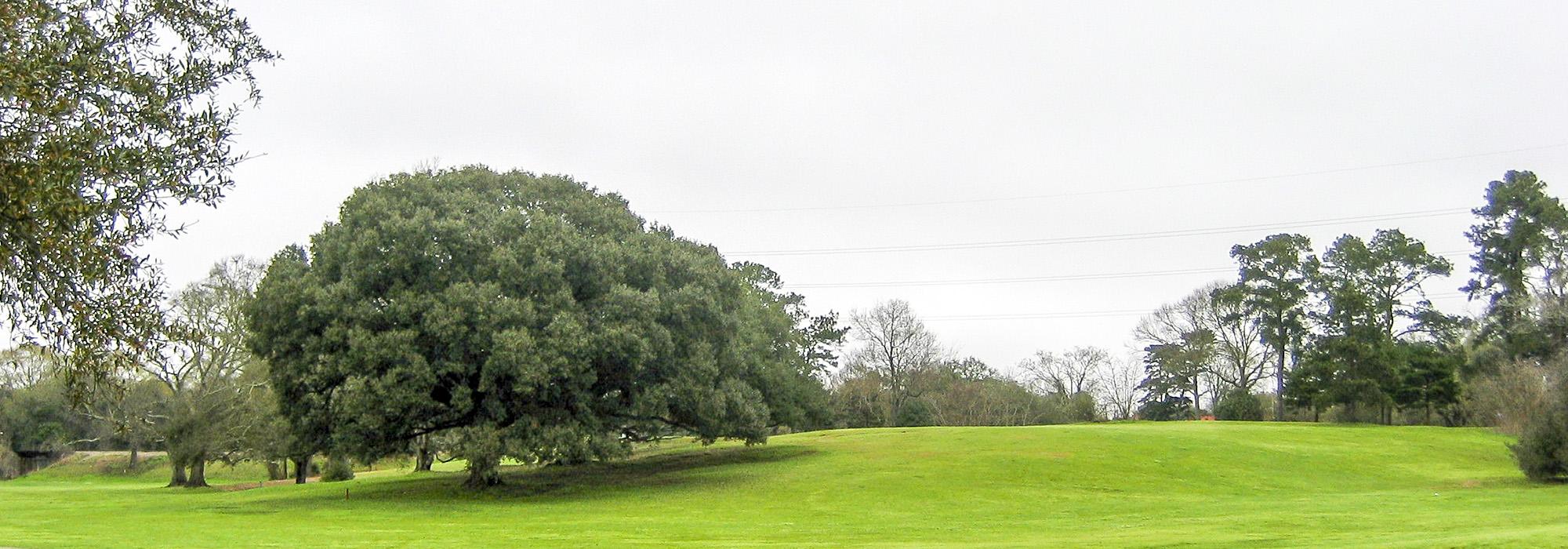 City Park Golf Course - Baton Rouge, Baton Rouge, LA