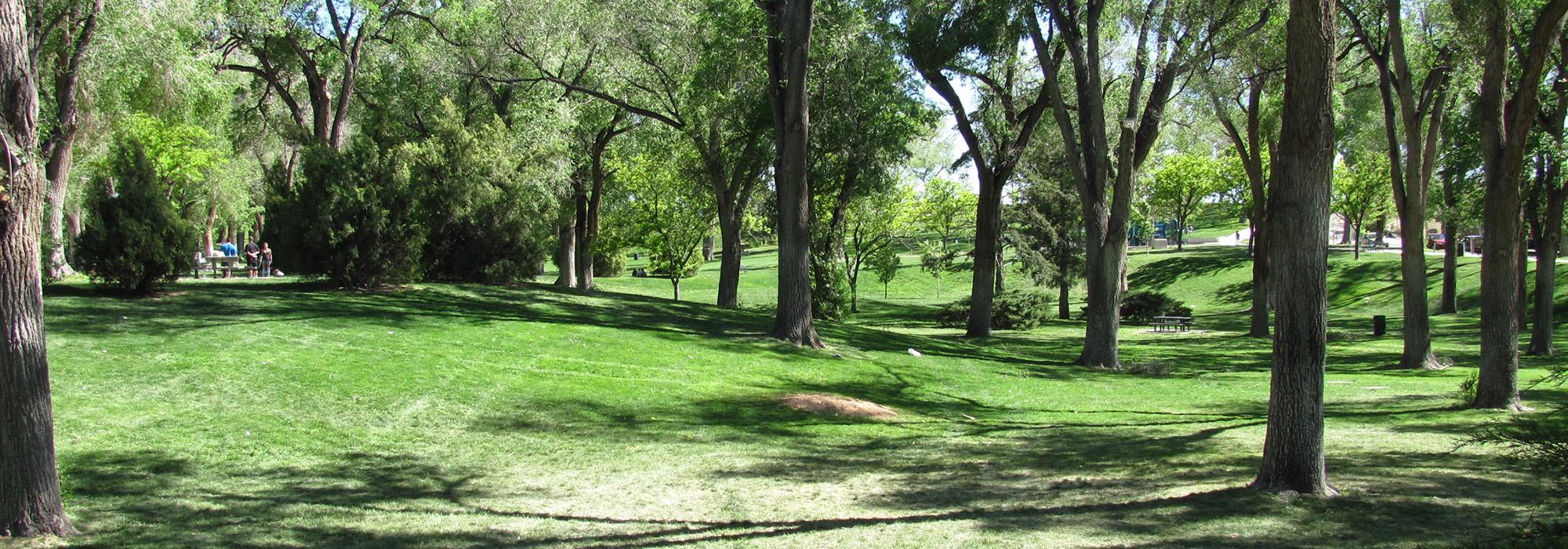 Roosevelt Park, Albuquerque, NM 