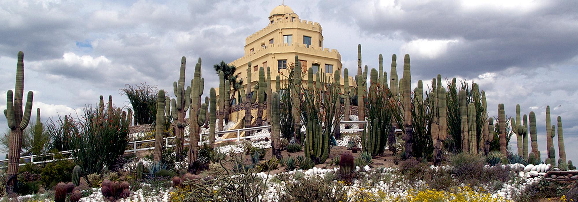 Tovrea Castle and Carraro Cactus Garden
