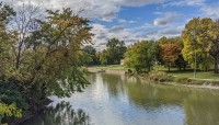 Lake bordered by lush trees and grasses