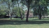 also Village Green::Photo by Charles Birnbaum ::  :: Courtesy The Cultural Landscape Foundation