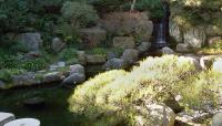 Hannah Carter Japanese Garden, Los Angeles, CA 