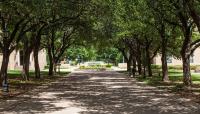Austin College, Sherman, TX