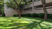 Baylor University Medical Center, Dallas, TX
