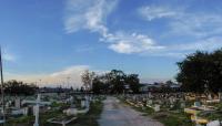 Holt Cemetery, New Orleans, LA