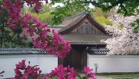 Photo courtesy Friends of the Japanese House and Garden::2013::The Cultural Landscape Foundation