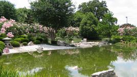 Hermann Park Japanese Garden, Houston, TX