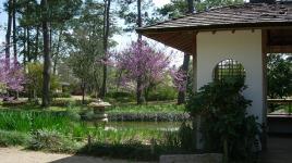 Hermann Park Japanese Garden, Houston, TX