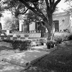 The Urschel Garden, (Magnolia Hill) San Antonio.