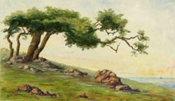 Cornell watercolor of Torrey Pines State Preserve