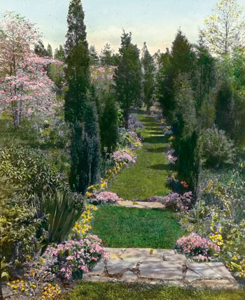 Pathway to Wild Flower Sanctuary, Old Fields, Robert L. Bacon House, Old Westbury, New York, 1921