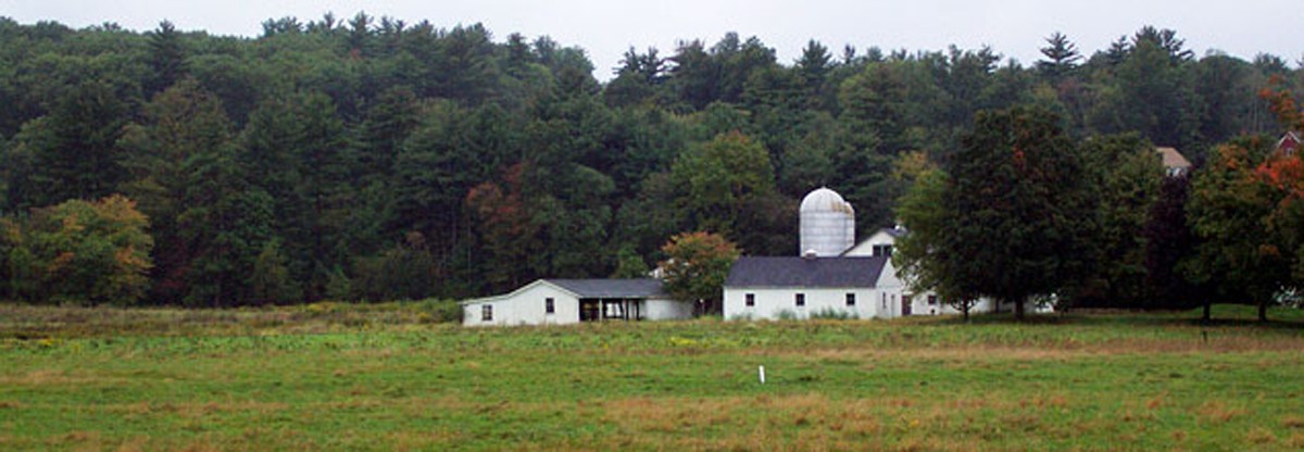 Whitney Farm