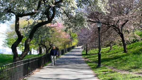 NYC_RiversidePark_signature_LeslieSherr_2012_01.jpg NYC_RiversidePark_signature_LeslieSherr_2012_01.jpg
