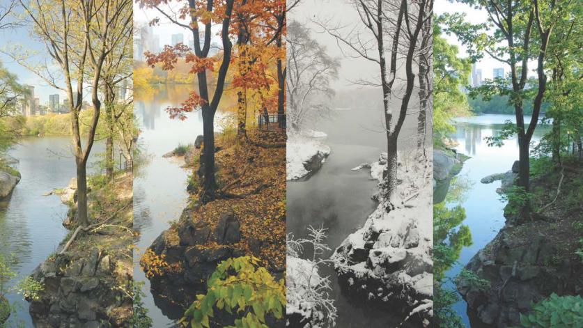 Central Park in four seasons