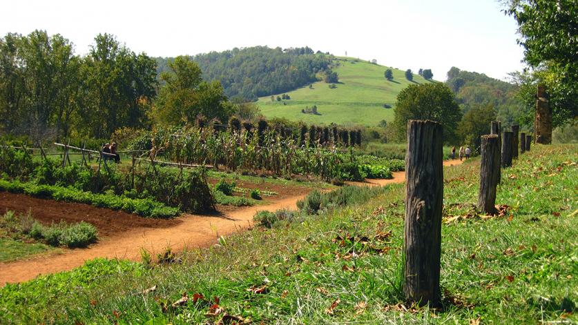 Monticello's Mulberry Row landscape reconstructed to resemble an ornamental farm in Charlottesville,VA