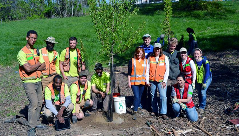 Lina Cortas (lower right) volunteering with Casey Trees - Photo courtesy of Casey Trees