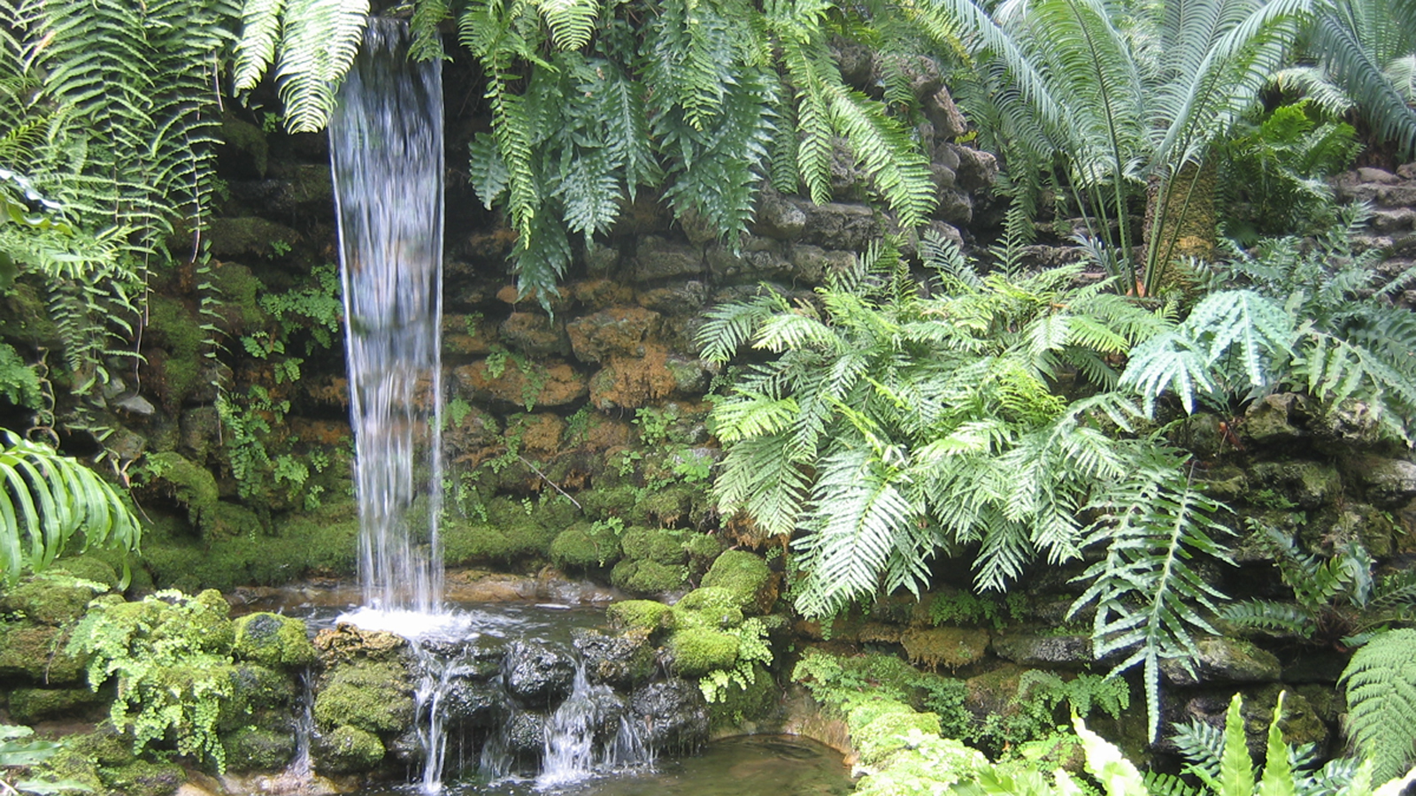 Garfield Park Conservatory - Photo by Charles Birnbaum