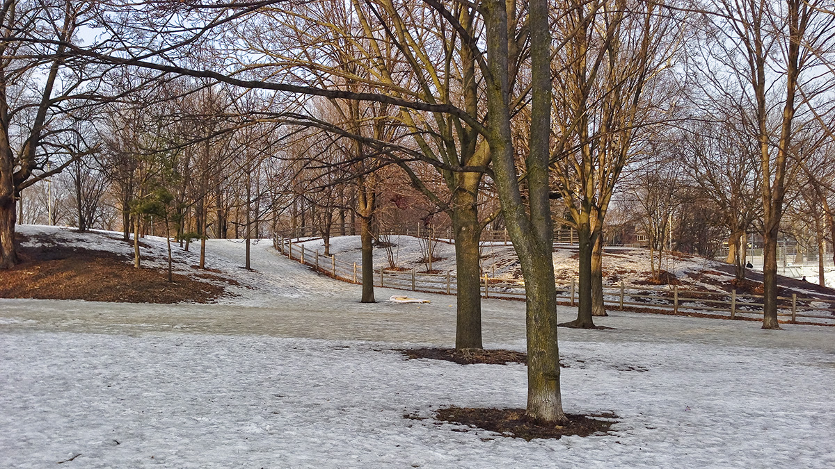 Withrow Park, Toronto,ON, Canada