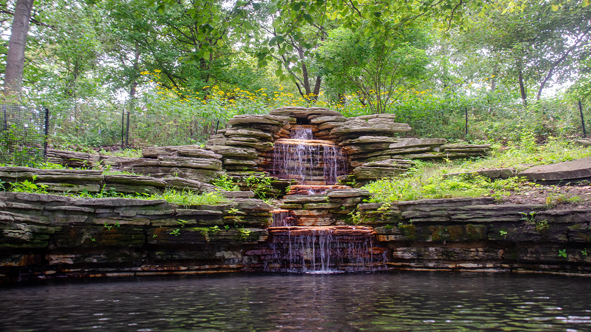 Stone waterfall and pond with trees around