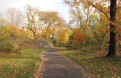 Central Park Fort Landscape