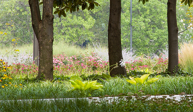 Federal Reserve Board Garden