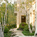 City Garden