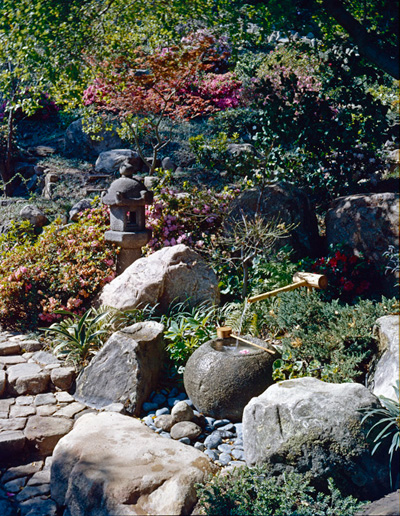 Hannah Carter Japanese Garden