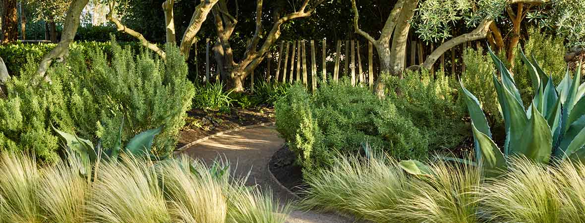 The New American Garden The Landscape Architecture Of Oehme Van