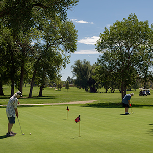 City Park Golf Course - Denver