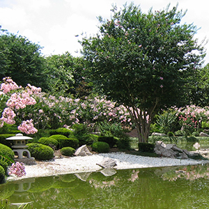 Hermann Park Japanese Garden