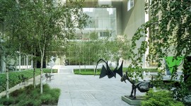 Abby Aldrich Rockefeller Sculpture Garden